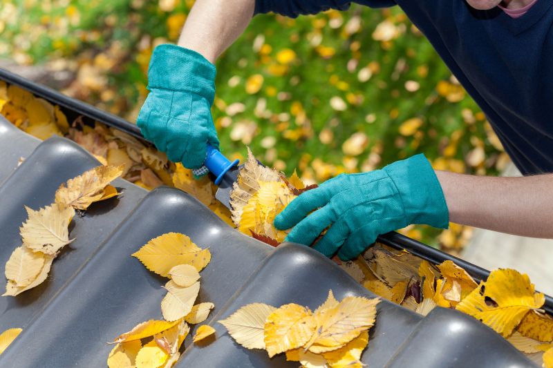 Business Gutter Cleaning in Roseville, CA