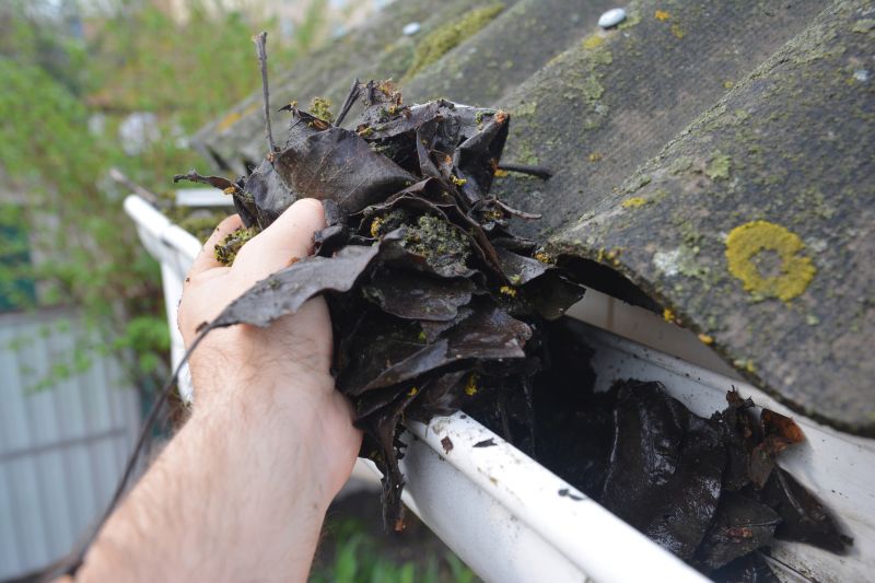 Downspout Cleaning in Bergen County, NJ