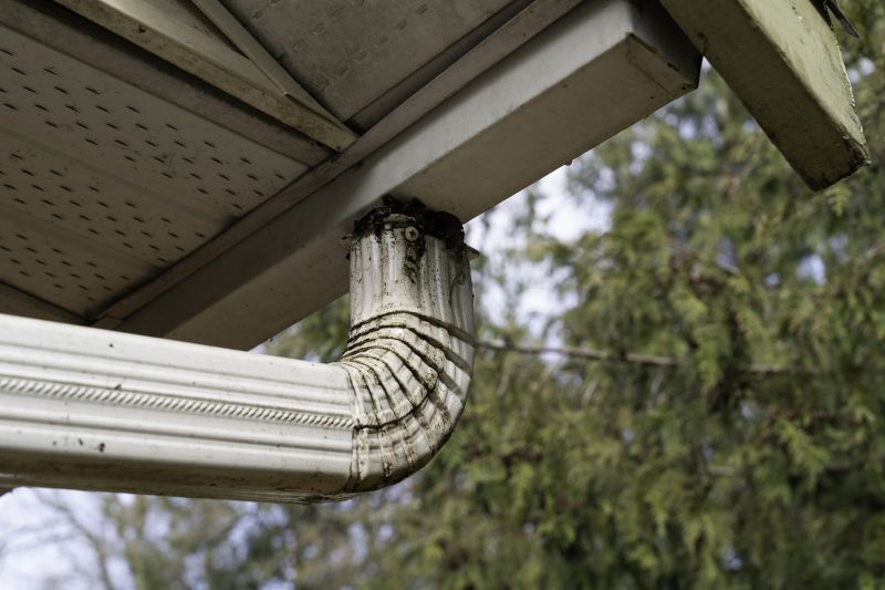 Downspout Unclogging