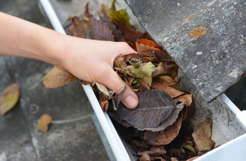 Commercial Downspout Cleaning in Roseville, CA
